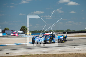 2023-03-17 - 35 NEGRAO André (bra), ROJAS Memo (mex), CALDWELL Oliver (gbr), Alpine Elf Team, Oreca 07 - Gibson, action during the 1000 Miles of Sebring 2023, 1st round of the 2023 FIA World Endurance Championship on the Sebring International Raceway, from March 15 to 17, 2023 on the Sebring International Raceway in Sebring, Florida, USA - AUTO - FIA WEC - 1000 MILES OF SEBRING 2023 - ENDURANCE - MOTORS