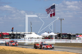 17/03/2023 - 41 ANDRADE Rui (prt), KUBICA Robert (pol), DELETRAZ Louis (swi), Team WRT, Oreca 07 - Gibson, action during the 1000 Miles of Sebring 2023, 1st round of the 2023 FIA World Endurance Championship, from March 15 to 17, 2023 on the Sebring International Raceway in Sebring, Florida, USA - AUTO - FIA WEC - 1000 MILES OF SEBRING 2023 - ENDURANCE - MOTORI