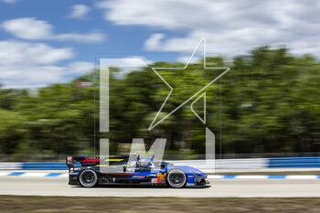17/03/2023 - 02 BAMBER Earl (nzl), LYNN Alex (gbr), WESTBROOK Richard (gbr), Cadillac Racing, Cadillac V-Series.R, action during the 1000 Miles of Sebring 2023, 1st round of the 2023 FIA World Endurance Championship, from March 15 to 17, 2023 on the Sebring International Raceway in Sebring, Florida, USA - AUTO - FIA WEC - 1000 MILES OF SEBRING 2023 - ENDURANCE - MOTORI