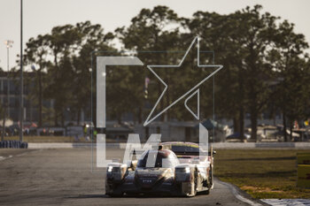 2023-03-17 - 28 HEINEMEIER HANSSON David (dnk), FITTIPALDI Pietro (bra), RASMUSSEN Oliver (dnk), JOTA, Oreca 07 - Gibson, action during the 1000 Miles of Sebring 2023, 1st round of the 2023 FIA World Endurance Championship, from March 15 to 17, 2023 on the Sebring International Raceway in Sebring, Florida, USA - AUTO - FIA WEC - 1000 MILES OF SEBRING 2023 - ENDURANCE - MOTORS