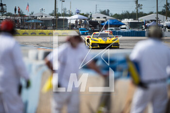 18/03/2023 - 03 GARCIA Antonio (spa), TAYLOR Jordan (usa), MILNER Tommy (usa), Corvette Racing, Corvette C8.R GTD, action during the Mobil 1 Twelve Hours of Sebring 2023, 2nd round of the 2023 IMSA SportsCar Championship, from March 15 to 18, 2023 on the Sebring International Raceway in Sebring, Florida, USA - AUTO - IMSA - 12 HOURS OF SEBRING 2023 - ENDURANCE - MOTORI