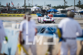 2023-03-18 - 60 BLOMQVIST Tom (mco), BRAUN Colin (usa), CASTRONEVES Helio (usa), Meyer Shank Racing with Curb Agajanian, Acura ARX-06, action during the Mobil 1 Twelve Hours of Sebring 2023, 2nd round of the 2023 IMSA SportsCar Championship, from March 15 to 18, 2023 on the Sebring International Raceway in Sebring, Florida, USA - AUTO - IMSA - 12 HOURS OF SEBRING 2023 - ENDURANCE - MOTORS