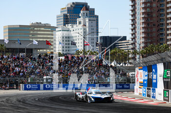 2023-04-15 - 24 ENG Philipp (aut), FARFUS Augusto (mco), WITTMANN Marco (ger), BMW M Team RLL, BMW M Hybrid V8, action during the Acura Grand Prix of Long Beach 2023, 3rd round of 2023 IMSA SportsCar Championship, from April 14 to 16, 2023 on the Streets of Long Beach, in Long Beach, California, United States of America - AUTO - IMSA - GRAND PRIX OF LONG BEACH 2023 - ENDURANCE - MOTORS