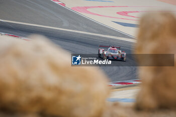2023-11-02 - 88 HARWICK Ryan (usa), ROBICHON Zachary (can), TINCKNELL Harry (gbr), Proton Competition, Porsche 911 RSR - 19, action during the Bapco Energies WEC 8 Hours of Bahrain 2023, 7th round of the 2023 FIA World Endurance Championship, from November 1 to 4, 2023 on the Bahrain International Circuit, in Sakhir, Bahrain - AUTO - FIA WEC - 8 HOURS OF BAHRAIN 2023 - ENDURANCE - MOTORS