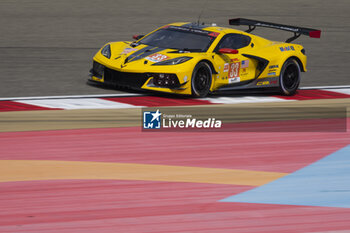 2023-11-03 - 33 KEATING Ben (usa), VARRONE Nicolas (arg), CATSBURG Nicky (nld), Corvette Racing, Chevrolet Corvette C8.R, action during the Bapco Energies WEC 8 Hours of Bahrain 2023, 7th round of the 2023 FIA World Endurance Championship, from November 1 to 4, 2023 on the Bahrain International Circuit, in Sakhir, Bahrain - AUTO - FIA WEC - 8 HOURS OF BAHRAIN 2023 - ENDURANCE - MOTORS