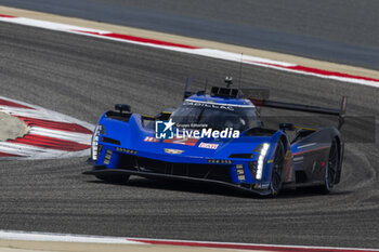 2023-11-03 - 02 BAMBER Earl (nzl), LYNN Alex (gbr), WESTBROOK Richard (gbr), Cadillac Racing, Cadillac V-Series.R, action during the Bapco Energies WEC 8 Hours of Bahrain 2023, 7th round of the 2023 FIA World Endurance Championship, from November 1 to 4, 2023 on the Bahrain International Circuit, in Sakhir, Bahrain - AUTO - FIA WEC - 8 HOURS OF BAHRAIN 2023 - ENDURANCE - MOTORS