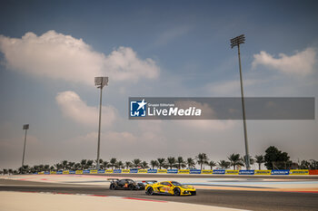2023-11-03 - 33 KEATING Ben (usa), VARRONE Nicolas (arg), CATSBURG Nicky (nld), Corvette Racing, Chevrolet Corvette C8.R, action during the Bapco Energies WEC 8 Hours of Bahrain 2023, 7th round of the 2023 FIA World Endurance Championship, from November 1 to 4, 2023 on the Bahrain International Circuit, in Sakhir, Bahrain - AUTO - FIA WEC - 8 HOURS OF BAHRAIN 2023 - ENDURANCE - MOTORS