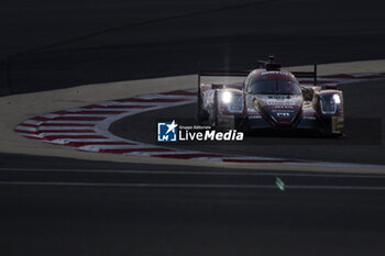 2023-11-03 - during the Bapco Energies WEC 8 Hours of Bahrain 2023, 7th round of the 2023 FIA World Endurance Championship, from November 1 to 4, 2023 on the Bahrain International Circuit, in Sakhir, Bahrain - AUTO - FIA WEC - 8 HOURS OF BAHRAIN 2023 - ENDURANCE - MOTORS