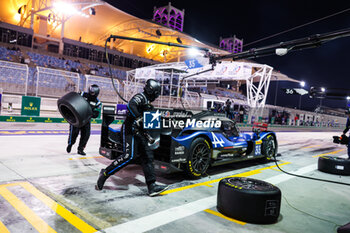 2023-11-04 - pitstop 35 NEGRAO André (bra), ROJAS Memo (mex), CALDWELL Oliver (gbr), Alpine Elf Team, Oreca 07 - Gibson, action during the Bapco Energies WEC 8 Hours of Bahrain 2023, 7th round of the 2023 FIA World Endurance Championship, from November 1 to 4, 2023 on the Bahrain International Circuit, in Sakhir, Bahrain - AUTO - FIA WEC - 8 HOURS OF BAHRAIN 2023 - ENDURANCE - MOTORS