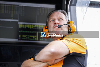 2023-07-08 - BROWN Zak (usa), CEO of of McLaren Racing, portrait during the 2023 Formula 1 Aramco British Grand Prix, 10th round of the 2023 Formula One World Championship from July 7 to 9, 2023 on the Silverstone Circuit, in Silverstone, United Kingdom - F1 - BRITISH GRAND PRIX 2023 - FORMULA 1 - MOTORS