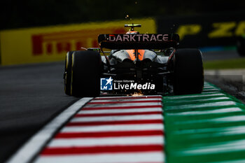 2023-07-21 - 04 NORRIS Lando (gbr), McLaren F1 Team MCL60, action during the 2023 Formula 1 Qatar Airways Hungarian Grand Prix, 11th round of the 2023 Formula One World Championship from July 21 to 23, 2023 on the Hungaroring, in Mogyorod, Hungary - F1 - HUNGARIAN GRAND PRIX 2023 - FORMULA 1 - MOTORS