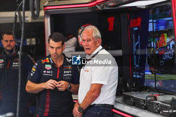 2023-07-22 - Helmut Marko (AUT) Oracle Red Bull Racing Consultantng, - 2023 FORMULA 1 QATAR AIRWAYS HUNGARIAN GRAND PRIX, FORMULA ONE WORLD CHAMPIONSHIP - FREE PRACTICE AND QUALIFY - FORMULA 1 - MOTORS