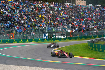 2023-07-30 - Carlos Sainz (SPA) Ferrari SF-23 - 2023 FORMULA 1 MSC CRUISES BELGIAN GRAND PRIX, FORMULA ONE WORLD CHAMPIONSHIP - RACE - FORMULA 1 - MOTORS