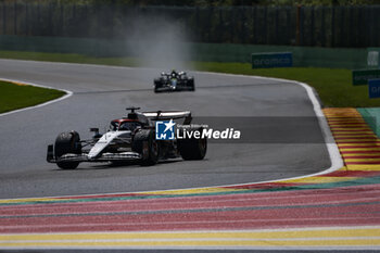 2023-07-29 - 03 RICCIARDO Daniel (aus), Scuderia AlphaTauri AT04, action during the 2023 Formula 1 MSC Cruises Belgian Grand Prix, 12th round of the 2023 Formula One World Championship from July 28 to 30, 2023 on the Circuit de Spa-Francorchamps, in Stavelot, Belgium - F1 - BELGIAN GRAND PRIX 2023 - FORMULA 1 - MOTORS