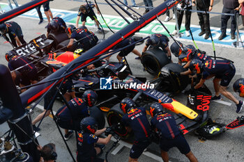 2023-08-25 - Red Bull Racing mechanics practicing pitstop during the 2023 Formula 1 Heineken Dutch Grand Prix, 13th round of the 2023 Formula One World Championship from August 25 to 28, 2023 on the Zandvoort Circuit, in Zandvoort, Netherlands - F1 - DUTCH GRAND PRIX 2023 - FORMULA 1 - MOTORS