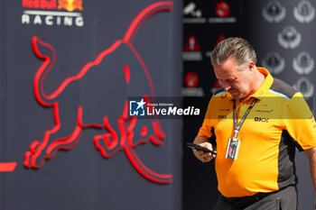 2023-09-16 - BROWN Zak (usa), CEO of of McLaren Racing, portrait, Red Bull Racing illustration during the 2023 Formula 1 Singapore Airlines Singapore Grand Prix, 15th round of the 2023 Formula One World Championship from September 15 to 17, 2023 on the Marina Bay Street Circuit, in Singapore - F1 - SINGAPORE GRAND PRIX 2023 - FORMULA 1 - MOTORS
