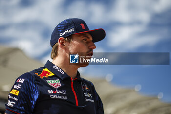2023-10-22 - VERSTAPPEN Max (ned), Red Bull Racing RB19, portrait during the 2023 Formula 1 Lenovo United States Grand Prix, 18th round of the 2023 Formula One World Championship from October 20 to 22, 2023 on the Circuit of The Americas, in Austin, USA - F1 - US GRAND PRIX 2023 - RACE - FORMULA 1 - MOTORS