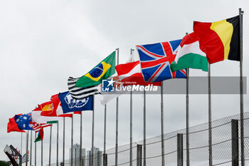 2023-11-02 - Flags during the 2023 Formula 1 Rolex Grande Premio de Sao Paulo, 20th round of the 2023 Formula One World Championship from November 3 to 5, 2023 on the Autodromo José Carlos Pace, in Sao Paulo, Brazil - F1 - SAO PAULO GRAND PRIX 2023 - FORMULA 1 - MOTORS