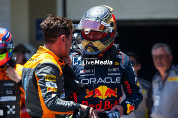 2023-11-04 - VERSTAPPEN Max (ned), Red Bull Racing RB19, NORRIS Lando (gbr), McLaren F1 Team MCL60, portrait during the 2023 Formula 1 Rolex Grande Premio de Sao Paulo, 20th round of the 2023 Formula One World Championship from November 3 to 5, 2023 on the Autodromo José Carlos Pace, in Sao Paulo, Brazil - F1 - SAO PAULO GRAND PRIX 2023 - FORMULA 1 - MOTORS