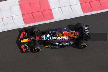 2023-11-24 - DENNIS Jake (gbr), Red Bull Racing RB19, action during the 2023 Formula 1 Etihad Airways Abu Dhabi Grand Prix, 22th round of the 2023 Formula One World Championship from November 24 to 26, 2023 on the Yas Marina Circuit, in Abu Dhabi - F1 - ABU DHABI GRAND PRIX 2023 - FORMULA 1 - MOTORS