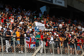 2023-11-26 - Ambiance fans during the 2023 Formula 1 Etihad Airways Abu Dhabi Grand Prix, 22th round of the 2023 Formula One World Championship from November 24 to 26, 2023 on the Yas Marina Circuit, in Abu Dhabi - F1 - ABU DHABI GRAND PRIX 2023 - RACE - FORMULA 1 - MOTORS