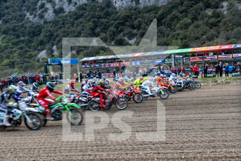 2023-04-16 - MX2 Race1 Starting - 2023 MXGP GP OF TRENTINO - MOTOCROSS - MOTORS