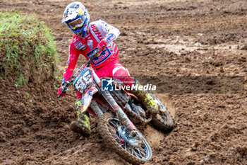 2023-09-17 - Simon Langenfelder, DEU (Red Bull GasGas Factory Racing) - MXGP OF ITALY RACE MXGP AND MX2 - MOTOCROSS - MOTORS