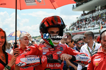 2023-06-11 - Francesco Bagnaia IT Ducati Lenovo Team Ducati on Starting Grid - RACE MOTOGP GRAND PRIX OF ITALY - MOTOGP - MOTORS