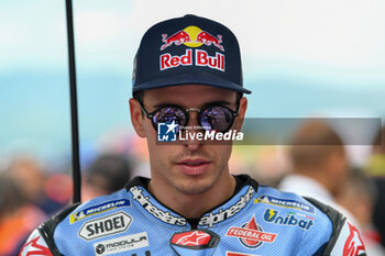 2023-06-10 - Alex Marquez ES Gresini Racing MotoGP Ducati wait in starting grid - TISSOT SPRINT MOTOGP GRAND PRIX OF ITALY - MOTOGP - MOTORS