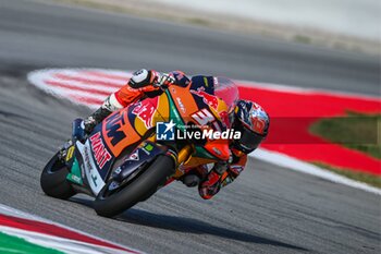 2023-09-01 - Pedro Acosta (37) of Spain and Red Bull KTM Ajo during the MOTO 2 Free Practice 1 of the Catalunya Grand Prix at Montmelo racetrack, Spain on September 01, 2023 (Photo: Alvaro Sanchez) Cordon Press - FREE PRACTICE MOTOGP GRAN PRIX CATALUNYA - MOTOGP - MOTORS