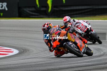 2023-09-02 - Filippo Farioli (7) of Italy and Red Bull KTM Tech3 during the MOTO 3 QUALIFYING of the Catalunya Grand Prix at Montmelo racetrack, Spain on September 02, 2023 (Photo: Alvaro Sanchez) Cordon Press - QUALIFYING MOTOGP GRAN PRIX CATALUNYA - MOTOGP - MOTORS