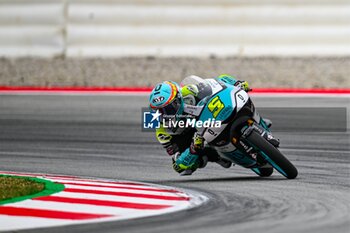 2023-09-02 - Jaume Masia (5) of Spain and Leopard Racing during the MOTO 3 QUALIFYING of the Catalunya Grand Prix at Montmelo racetrack, Spain on September 02, 2023 (Photo: Alvaro Sanchez) Cordon Press - QUALIFYING MOTOGP GRAN PRIX CATALUNYA - MOTOGP - MOTORS