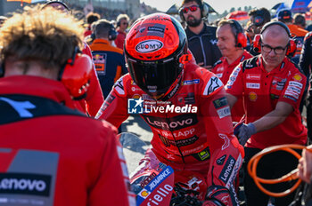 2023-11-25 - Bagnaia Francesco ITA Ducati Lenovo Team Ducati on the starting grid - 2023 MOTOGP GRAND PRIX OF SPAIN - GRAN PREMIO MOTUL DE LA COMUNITAT VALENCIANA - TISSOT SPRINT RACE - MOTOGP - MOTORS