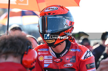 2023-11-25 - Bagnaia Francesco ITA Ducati Lenovo Team Ducati on the starting grid - 2023 MOTOGP GRAND PRIX OF SPAIN - GRAN PREMIO MOTUL DE LA COMUNITAT VALENCIANA - TISSOT SPRINT RACE - MOTOGP - MOTORS