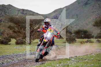 2023-01-02 - 47 BENAVIDES Kevin (arg), Red Bull KTM Factory Racing, KTM, Moto, FIM W2RC, action during the Stage 2 of the Dakar 2023 between Sea Camp and Al-'Ula, on January 2nd, 2023 in Al-'Ula, Saudi Arabia - AUTO - DAKAR 2023 - STAGE 2 - RALLY - MOTORS