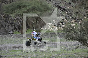 2023-01-02 - 169 FANTONI Alejandro (arg), Drag'On, Yamaha, Quad, action during the Stage 2 of the Dakar 2023 between Sea Camp and Al-'Ula, on January 2nd, 2023 in Al-'Ula, Saudi Arabia - AUTO - DAKAR 2023 - STAGE 2 - RALLY - MOTORS