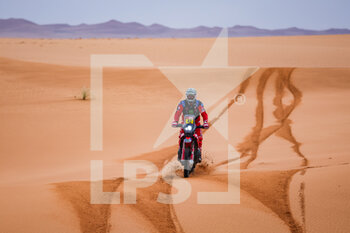 2023-01-10 - 42 VAN BEVEREN Adrien (fra), Monster Energy Honda Team, Honda, Moto, FIM W2RC, Motul, action during the Stage 9 of the Dakar 2023 between Riyadh and Haradh, on January 10th, 2023 in Haradh, Saudi Arabia - AUTO - DAKAR 2023 - STAGE 9 - RALLY - MOTORS