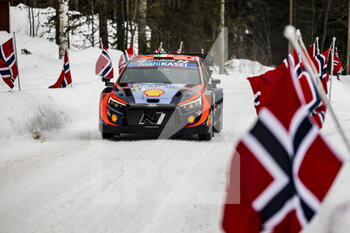 2023-02-09 - 42 Craig BREEN (IRL), James FULTON (IRL), HYUNDAI SHELL MOBIS WORLD RALLY TEAM, HYUNDAI i20 N Rally1 Hybrid, WRC, action during the Rally Sweden 2023, 2nd round of the 2023 WRC World Rally Car Championship, from February 9 to 12, 2023 at Umea, Vasterbotten County, Sweden - AUTO - WRC - RALLY SWEDEN 2023 - RALLY - MOTORS