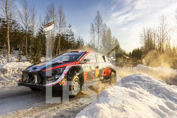 2023-02-11 - 42 Craig BREEN (IRL), James FULTON (IRL), HYUNDAI SHELL MOBIS WORLD RALLY TEAM, HYUNDAI i20 N Rally1 Hybrid, WRC, action during the Rally Sweden 2023, 2nd round of the 2023 WRC World Rally Car Championship, from February 9 to 12, 2023 at Umea, Vasterbotten County, Sweden - AUTO - WRC - RALLY SWEDEN 2023 - RALLY - MOTORS