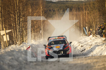 2023-02-11 - 42 Craig BREEN (IRL), James FULTON (IRL), HYUNDAI SHELL MOBIS WORLD RALLY TEAM, HYUNDAI i20 N Rally1 Hybrid, WRC, action during the Rally Sweden 2023, 2nd round of the 2023 WRC World Rally Car Championship, from February 9 to 12, 2023 at Umea, Vasterbotten County, Sweden - AUTO - WRC - RALLY SWEDEN 2023 - RALLY - MOTORS