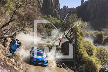 16/03/2023 - 09 Jourdan SERDERIDIS (GRC), Frédéric MICLOTTE (BEL), M-SPORT FORD WORLD RALLY TEAM, FORD Puma Rally1 Hybrid, WRC, action during the Rally Guanajuato Mexico 2023, 3rd round of the 2023 WRC World Rally Car Championship, from March 16 to 19, 2023 at Leon, Guanajuato, in Mexico - AUTO - WRC - RALLY GUANAJUATO MEXICO 2023 - RALLY - MOTORI