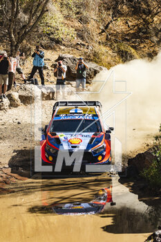 16/03/2023 - 04 Esapekka LAPPI (FIN), Janne FERM (FIN), HYUNDAI SHELL MOBIS WORLD RALLY TEAM, HYUNDAI i20 N Rally1 Hybrid, WRC, action during the Rally Guanajuato Mexico 2023, 3rd round of the 2023 WRC World Rally Car Championship, from March 16 to 19, 2023 at Leon, Guanajuato, in Mexico - AUTO - WRC - RALLY GUANAJUATO MEXICO 2023 - RALLY - MOTORI