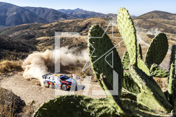 17/03/2023 - 06 Dani SORDO (ESP), Candido CARRERA (ESP), HYUNDAI SHELL MOBIS WORLD RALLY TEAM, HYUNDAI i20 N Rally1 Hybrid, WRC, action during the Rally Guanajuato Mexico 2023, 3rd round of the 2023 WRC World Rally Car Championship, from March 16 to 19, 2023 at Leon, Guanajuato, in Mexico - AUTO - WRC - RALLY GUANAJUATO MEXICO 2023 - RALLY - MOTORI