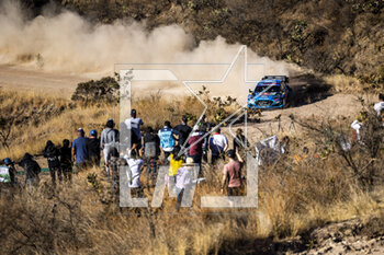 17/03/2023 - 08 Ott TANAK (EST), Martin JARVEOJA (EST), M-SPORT FORD WORLD RALLY TEAM, FORD Puma Rally1 Hybrid, WRC ,action during the Rally Guanajuato Mexico 2023, 3rd round of the 2023 WRC World Rally Car Championship, from March 16 to 19, 2023 at Leon, Guanajuato, in Mexico - AUTO - WRC - RALLY GUANAJUATO MEXICO 2023 - RALLY - MOTORI