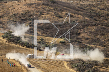 17/03/2023 - 06 Dani SORDO (ESP), Candido CARRERA (ESP), HYUNDAI SHELL MOBIS WORLD RALLY TEAM, HYUNDAI i20 N Rally1 Hybrid, WRC, action during the Rally Guanajuato Mexico 2023, 3rd round of the 2023 WRC World Rally Car Championship, from March 16 to 19, 2023 at Leon, Guanajuato, in Mexico - AUTO - WRC - RALLY GUANAJUATO MEXICO 2023 - RALLY - MOTORI