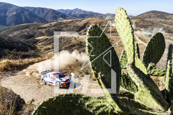 17/03/2023 - 17 Sébastien OGIER (FRA), Vincent LANDAIS (FRA), TOYOTA GAZOO RACING WRT, TOYOTA GR Yaris Rally1 Hybrid, WRC, action during the Rally Guanajuato Mexico 2023, 3rd round of the 2023 WRC World Rally Car Championship, from March 16 to 19, 2023 at Leon, Guanajuato, in Mexico - AUTO - WRC - RALLY GUANAJUATO MEXICO 2023 - RALLY - MOTORI