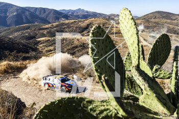 17/03/2023 - 11 Thierry NEUVILLE (BEL), Martijn WYDAEGHE (BEL), HYUNDAI SHELL MOBIS WORLD RALLY TEAM, HYUNDAI I20 N Rally1 Hybrid, WRC, action during the Rally Guanajuato Mexico 2023, 3rd round of the 2023 WRC World Rally Car Championship, from March 16 to 19, 2023 at Leon, Guanajuato, in Mexico - AUTO - WRC - RALLY GUANAJUATO MEXICO 2023 - RALLY - MOTORI