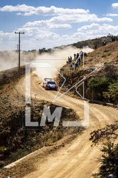 17/03/2023 - 11 Thierry NEUVILLE (BEL), Martijn WYDAEGHE (BEL), HYUNDAI SHELL MOBIS WORLD RALLY TEAM, HYUNDAI I20 N Rally1 Hybrid, WRC, action during the Rally Guanajuato Mexico 2023, 3rd round of the 2023 WRC World Rally Car Championship, from March 16 to 19, 2023 at Leon, Guanajuato, in Mexico - AUTO - WRC - RALLY GUANAJUATO MEXICO 2023 - RALLY - MOTORI