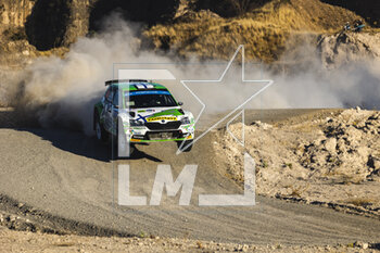 19/03/2023 - 24 Emil LINDHOLM (FIN), Reeta HAMALAINEN (FIN), TOKSPORT WRT, SKODA FABIA RS, RC2, Rally2, action during the Rally Guanajuato Mexico 2023, 3rd round of the 2023 WRC World Rally Car Championship, from March 16 to 19, 2023 at Leon, Guanajuato, in Mexico - AUTO - WRC - RALLY GUANAJUATO MEXICO 2023 - RALLY - MOTORI
