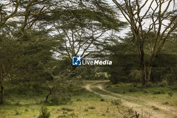 2023-06-20 - ambiance during the Safari Rally Kenya 2023, 7th round of the 2023 WRC World Rally Car Championship, from June 22 to 25, 2023 in Naivasha, Nakuru County, Kenya - AUTO - WRC - SAFARI RALLY KENYA 2023 - RALLY - MOTORS
